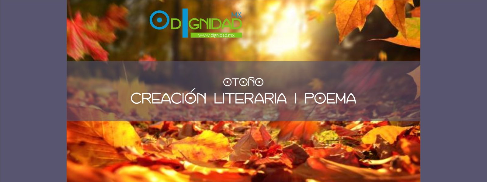 otoño_dignidad